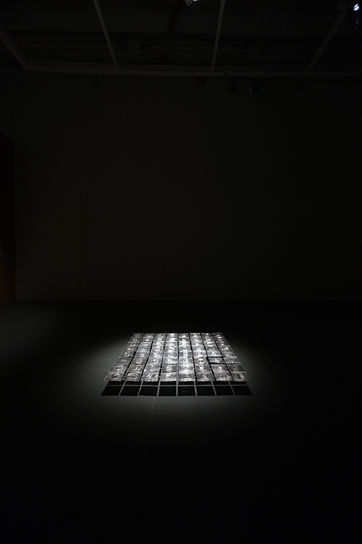 Untitled (64 spegli), 2024, 75 x 75 x 10 cm., vetrofusione, doratura, lavorazione a lume, vetro cattedrale murano e borosilicato, foglia d'argento.