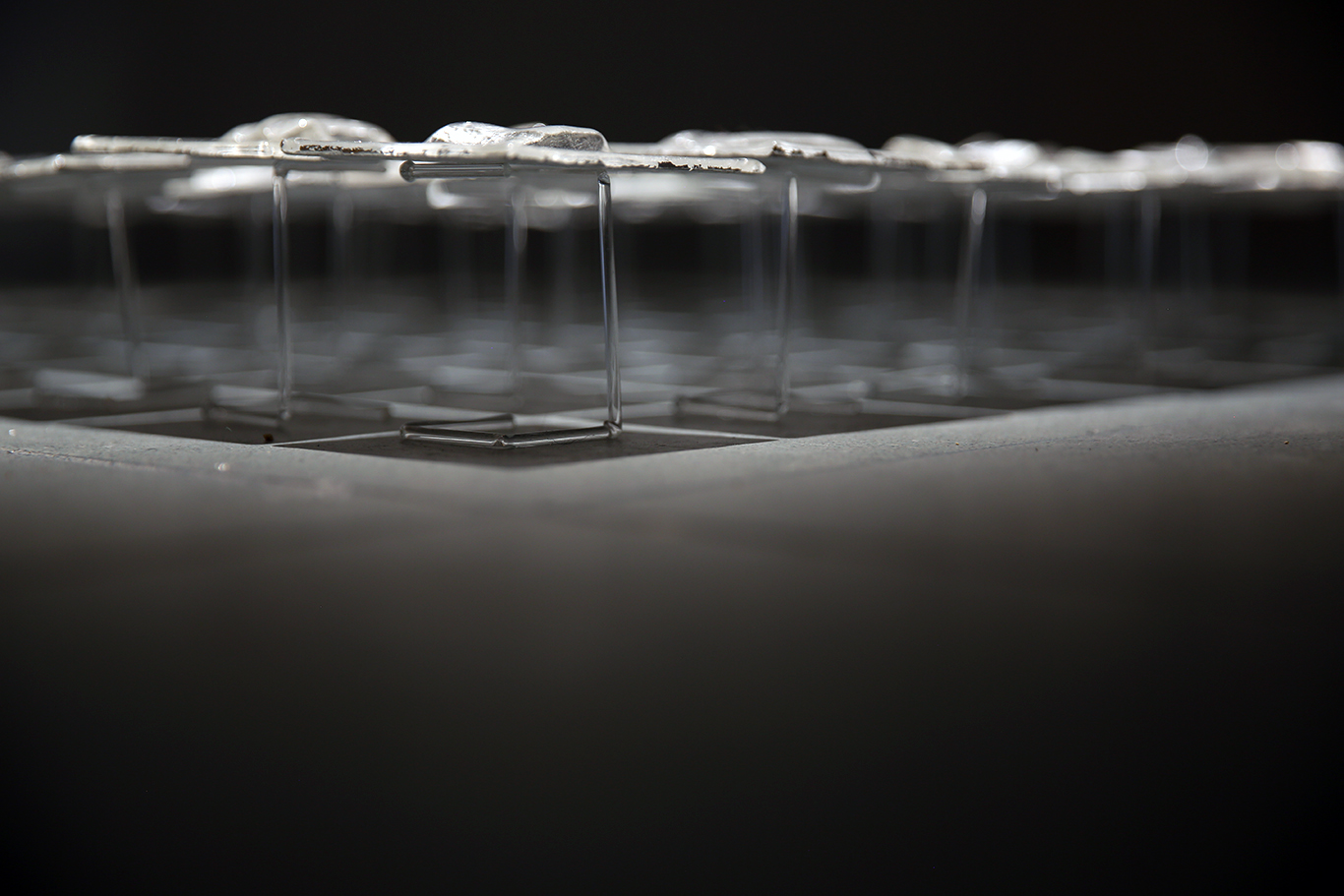Untitled (64 spegli), 2024, 75 x 75 x 10 cm., vetrofusione, doratura, lavorazione a lume, vetro cattedrale murano e borosilicato, foglia d'argento.