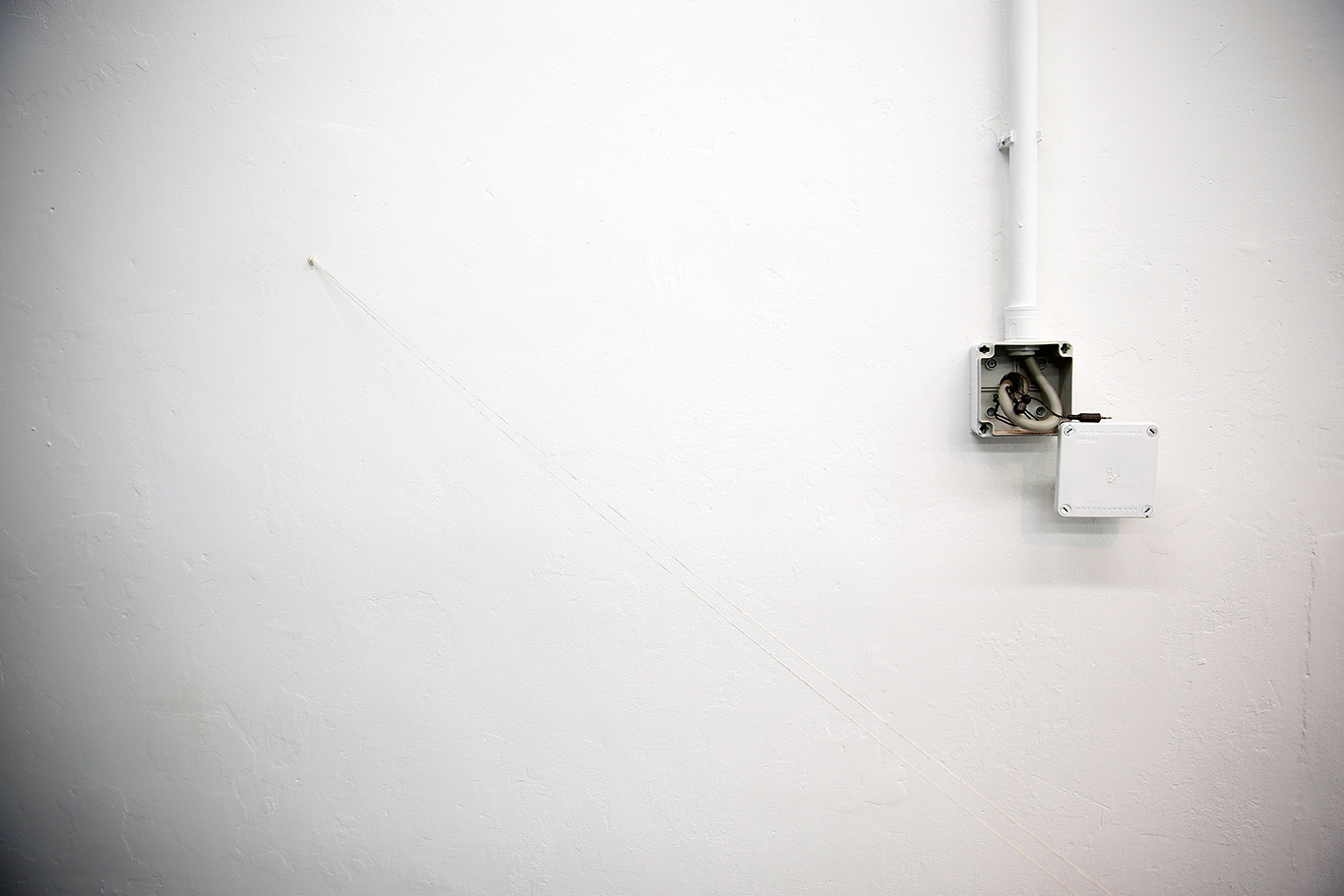 Tripwires, atelier deco b, 2023-2024, dimensioni variabili, microfusione, bronzo, argento, gomma.